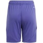 Adidas Tiro 24 Jr IT2419 shorts