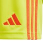 Adidas Tiro 24 Jr IT2421 shorts