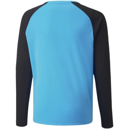 Puma teamPacer GK LS Jersey Jr 704939 40 goalkeeper sweatshirt