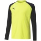 Felpa da portiere Puma teamPacer GK LS Jersey Jr 704939 42