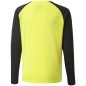 Puma teamPacer GK LS Jersey Jr 704939 42 goalkeeper sweatshirt