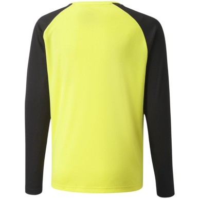 Felpa da portiere Puma teamPacer GK LS Jersey Jr 704939 42