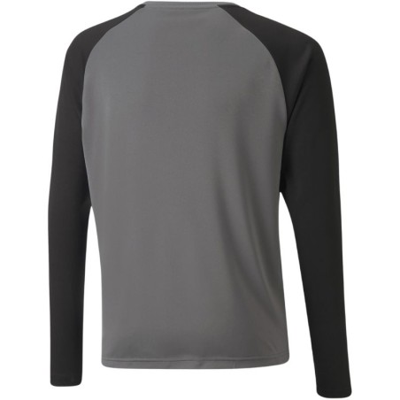 Puma teamPacer GK LS Jersey Jr 704939 43 goalkeeper sweatshirt