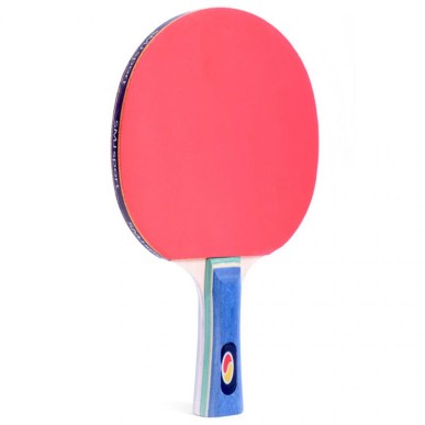 Racchetta da ping-pong SMJ Faster 12201-1