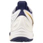 Mizuno Wave Momentum 3 MID M V1GA231743 volleyball shoes