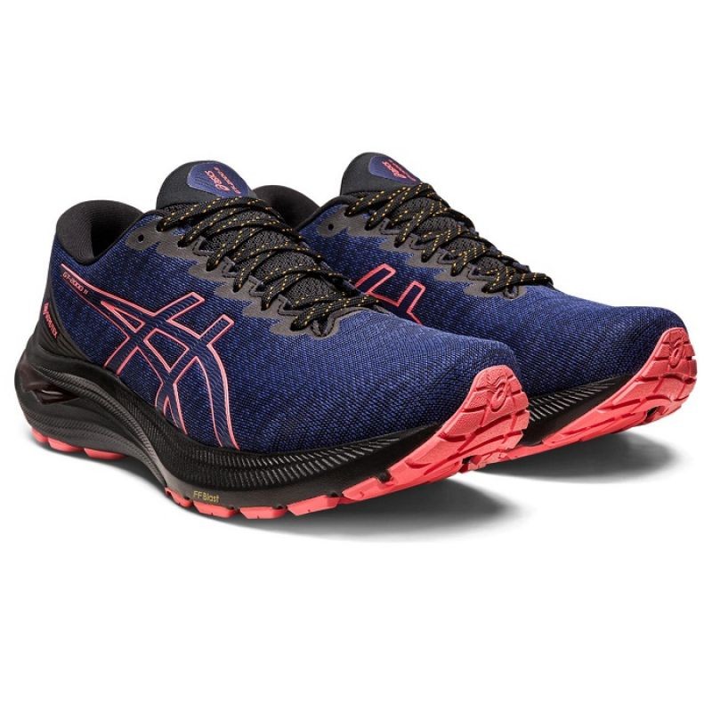 Asics GT 2000 11 GTX W 1012B304003 shoes