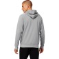 Asics BIG OTH Hoodie M 2031A984-023