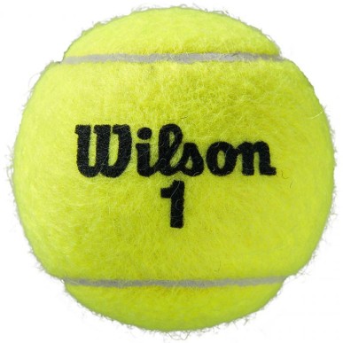 Palline da tennis Wilson Roland Garros All Court, 3 pezzi WRT126400