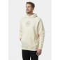 Felpa con cappuccio Helly Hansen Core Graphic Sweat M 53924 034