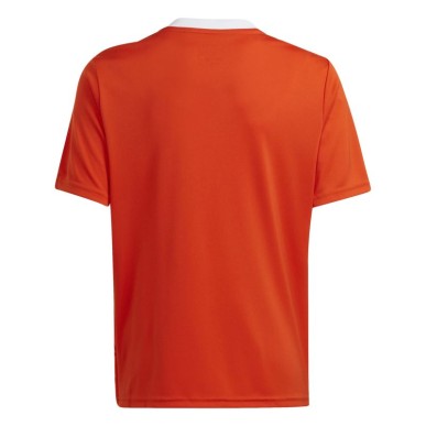 Adidas Team Icon 23 Jr T-shirt IC1254