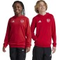 Adidas Arsenal London Jr IT4091 sweatshirt