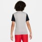 Nike Dri-Fit Tiempo Premier 2 Jr T-shirt DH8389-052