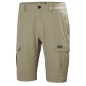 Helly Hansen HH QD Cargo Shorts 11" 54154 720