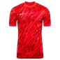 Nike Gardien VM T-shirt FD7482-644