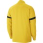 Nike Dri-FIT Academy 21 M CW6118 719 sweatshirt