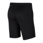 Nike Dri-FIT Park 20 M CW6152-010 shorts