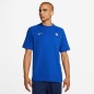 Maglietta Nike Inter Milan Travel SS Top M FN8302-438