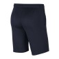 Nike Dri-FIT Park 20 M CW6152-451 Shorts