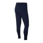 Nike Park 20 Fleece M CW6907-451 pants