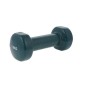 Dumbbell Energetic Body 1.50 kg