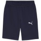 Pantaloncini Puma teamGOAL Casuals M 658608 06