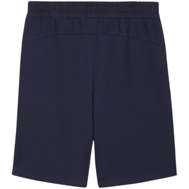 Puma teamGOAL Casuals M shorts 658608 06