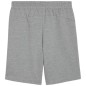 Puma teamGOAL Casuals M shorts 658608 33