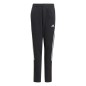 Adidas Tiro21 Sweat Jr GM7332 pants