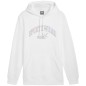 Puma Ess+ Logo LAB Gradient Hoodie FL M 681775 02