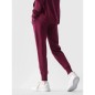 Pantaloni 4F W 4FWMM00TTROF0946-51S