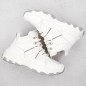 Big Star W INT2032B high insulated boots white