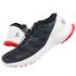 Scarpe Salomon Sense Flow M 409672 GTX