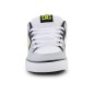 DC Shoes Pure M 300660-WLM shoes