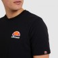 T-shirt Ellesse Canaletto M SHS04548-001