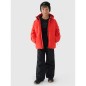 Ski pants 4F Jr 4FJWAW24TFTRM654-20S