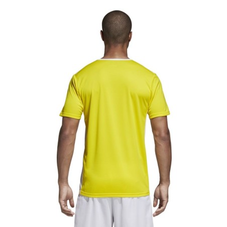 Adidas Entrada 18 CD8390 football jersey