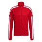 Adidas Squadra 21 Training M GP6464 sweatshirt