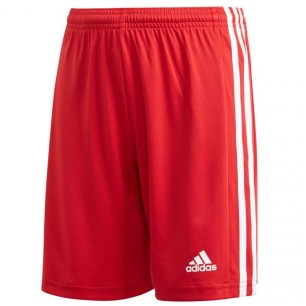 Adidas Squadra 21 Short Ragazzi Jr GN5761