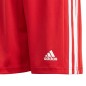 Adidas Squadra 21 Short Ragazzi Jr GN5761