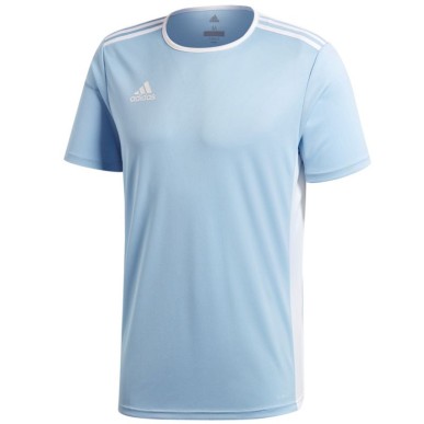 Adidas Entrada 18 Jr CD8414 football shirt