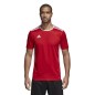 Maglia da calcio Adidas Entrada 18 CF1038