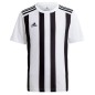 Adidas Striped 21 JSY M GV1377 Tee