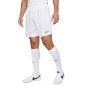 Nike Dri-FIT Academy M CW6107-100 Shorts