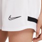 Nike Dri-FIT Academy W CV2649-100 Shorts