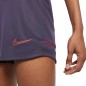 Nike Dri-FIT Academy W CV2649-573 Shorts