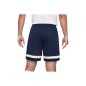 Nike Dri-Fit Academy Shorts M CW6107-452