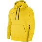 Nike Park 20 Hoodie Sweatshirt W CW6957-719