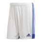 Pantaloncini Adidas Tastigo 19 M FI6355