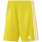 Pantaloncini Adidas Squadra 21 M GN5772