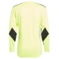 Maglia da portiere adidas Squadra 21 Maglia da portiere M GN5795